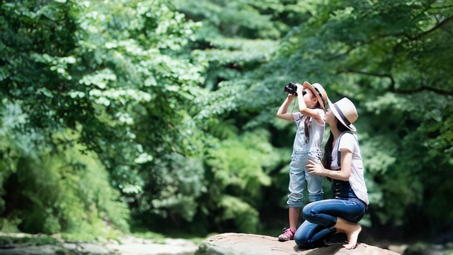 人寿保险计划限时优惠